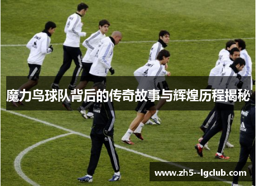 魔力鸟球队背后的传奇故事与辉煌历程揭秘
