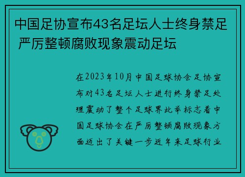 中国足协宣布43名足坛人士终身禁足 严厉整顿腐败现象震动足坛 中国足协宣布43名足坛人士终身禁足 严厉整顿腐败现象震动足坛
